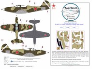  TopNotch  1/32 Bell P-39Q Airacobra Soviet Air Force camouflage pattern paint masks TNM32-M109