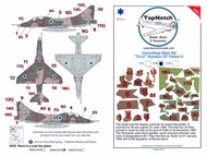  TopNotch  1/32 Douglas TA-4H Skyhawk IDF Pattern A TNM32-M158