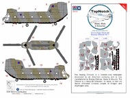 Boeing Chinook HC.1 camouflage pattern paint masks #TNM35-M199