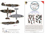 Supermarine Spitfire Mk.XIV Highback 'Griffon engine' camouflage pattern paint masks #TNM48-M048