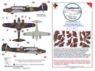 Avro Anson Pattern B Scheme 2 camouflage pattern paint masks #TNM48-M075