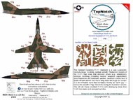 General-Dynamics F-111 Aardvark camouflage pattern paint masks #TNM48-M176