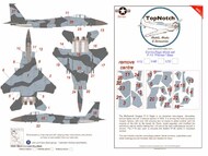 McDonnell F-15C Eagle Blue 'Flanker' Camouflage pattern paint mask #TNM48-M201