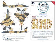 McDonnell F-15C Eagle Desert 'Flanker' Camouflage pattern paint mask #TNM48-M202