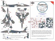 McDonnell F-15C Eagle Splinter scheme Camouflage pattern paint mask #TNM48-M203