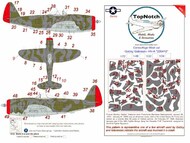 Republic P-47D Thunderbolt 'Bubble top' Gabreski HV-A '226418' Camouflage pattern paint mask #TNM48-M218