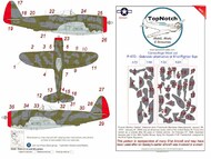 Republic P-47D Thunderbolt 'Bubble top' 'Gabreski' Alternative Camouflage pattern paint mask #TNM48-M219