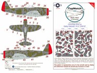 Republic P-47D Thunderbolt 'Bubble top' Gabreski HV-A '226418' Camouflage pattern paint mask #TNM72-M218