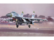 Sukhoi Su-27 Flanker B #TSM2224