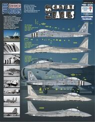 McDonnell F-15B Candy Cane Eagles Part 2 (3) #TB48221