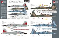 Northrop T-38C Heritage Talons #TB48268