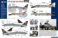 McDonnell F-4N Phantom/Grumman F-14A Tomcat VF-201 Lone Star Hunters #TB48285