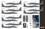 McDonnell F-15E Eagle Black Panther Drone Killers from the 494th Expeditionary Fighter Squadron #TB48286