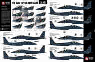McDonnell F-15E Black Panther Drone Killers #TB72112