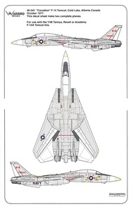  Kits-World/Warbird Decals  1/48 Canadian F-14 Tomcat Cold Lake AB October 1977 WBD48045