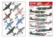  Kits-World/Warbird Decals  1/48 P-40E P-40F P-40N Warhawk 79PS/20PG WBS148191