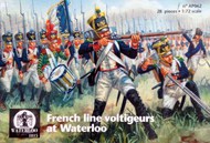 French Line Voltigeurs at Waterloo x 28 pieces #WAT062