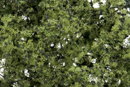  Woodland Scenics  NoScale Fine-Leaf Light Green Foliage w/Plastic Tree Armature (75cu. in.) WOO1132