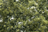  Woodland Scenics  NoScale Fine-Leaf Olive Green Foliage w/Plastic Tree Armature (75cu. in.) WOO1133