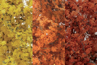  Woodland Scenics  NoScale Fine-Leaf Fall Mix Foliage w/Plastic Tree Armature (75cu. in.) WOO1135