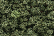 Bushes Clump- Foliage Olive Green (12oz. Bag) #WOO144