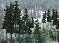  Woodland Scenics  NoScale Ready Made Trees Value Pack- 2 1/2" - 4" Conifer Pine (33) WOO1580