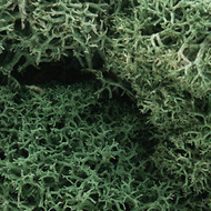  Woodland Scenics  NoScale Lichen- Light Green (1qt. Bag) WOO162
