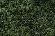  Woodland Scenics  NoScale Lichen- Medium Green (1qt. Bag) WOO163