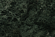  Woodland Scenics  NoScale Lichen- Dark Green (1qt. Bag) WOO164
