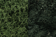  Woodland Scenics  NoScale Lichen- Dark Green Mix (1qt. Bag) WOO168