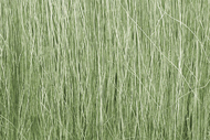  Woodland Scenics  NoScale Field Grass- Light Green (8gms Bag/Cd) WOO173
