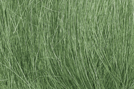  Woodland Scenics  NoScale Field Grass- Medium Green (8gms Bag/Cd) WOO174
