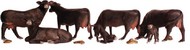 Scenic Accents Black Angus Cows (5 & 2 Calves) #WOO2217