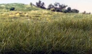  Woodland Scenics  NoScale Static Grass- Dark Green (2mm Bag) WOO613