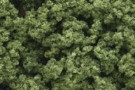  Woodland Scenics  NoScale Clump- Foliage Light Green (55cu. in. Bag) WOO682