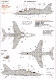 BAe Hawk T.1 Comprehensive Maintenance Marks #XD32039