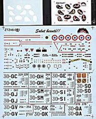  Zotz Decals  1/48 French Mirage F1 in the Kosovo War w/Girl as Nose Art OUT OF STOCK IN US, HIGHER PRICED SOURCED IN EUROPE ZTZ48020