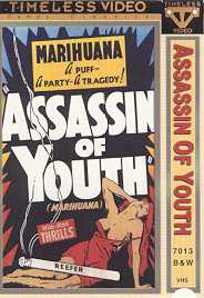 ASSASSIN OF YOUTH