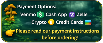 See Online Payment Options