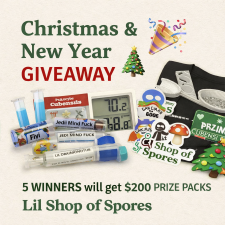 Christmas and New Year's Giveaway at Lil Shop of Spores!