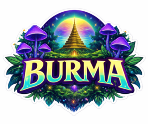 Burma 3635
