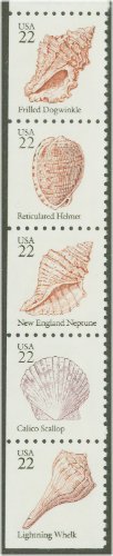 2117-21 22c Seashells Attached strip of 5 F-VF Mint NH #2117nh