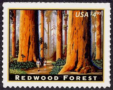 4378 4.95 Redwood Forest F-VF Mint NH Plate Bock of 4 #4378pb