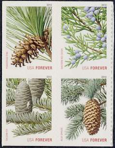 4478-81 Forever  Evergreens from dbl sided bklt #4478-81nh