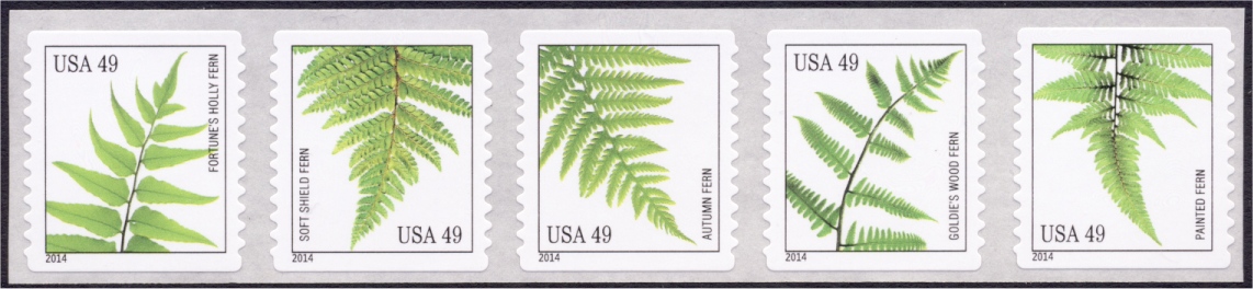 4848-52 49c Ferns, Coil Strip of Five Mint NH #4848-52nh