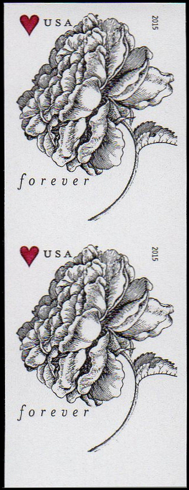 4959i Forever Vintage Rose Mint Imperf Vertical Pair #4959ivp