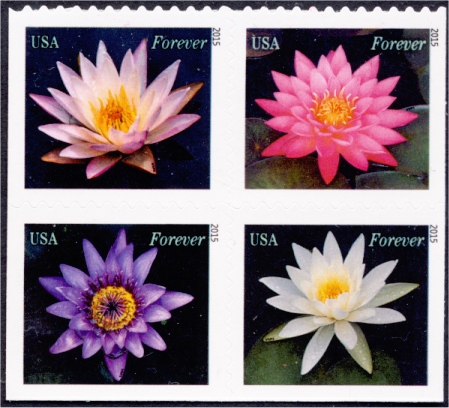 4964-67 Forever Water Lilies Mint Block of 4 #4964-7nh
