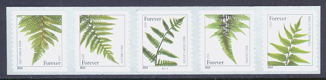 4973-77 Forever Ferns 2014 Reprint Mint Coil PNC of 5 #4973-7pnc