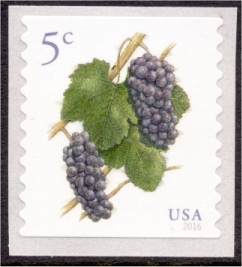 5038 5c Pinot Noir Grapes, Coil Mint  Single #5038nh