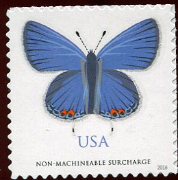 5136 Non Machinable Eastern Tailed-Blue Butterfly Used #5136used